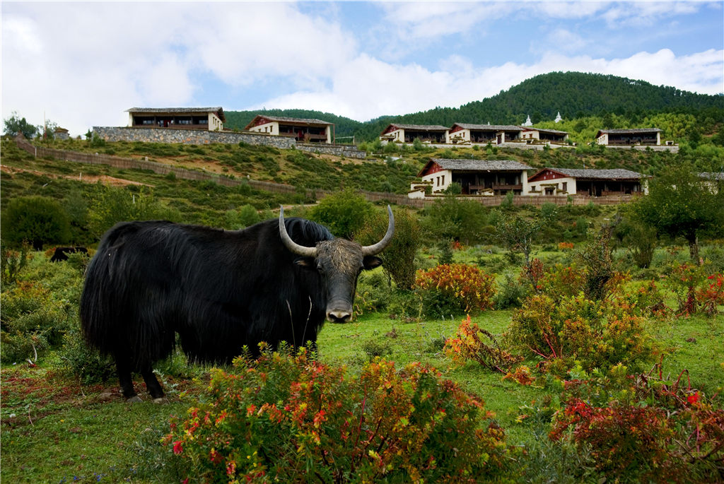 exterior view-yak.jpg